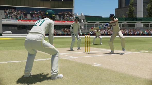 cricket22.jpg