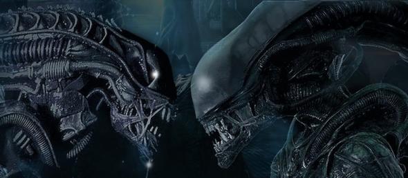 xenomorph-warrior-drone.jpg