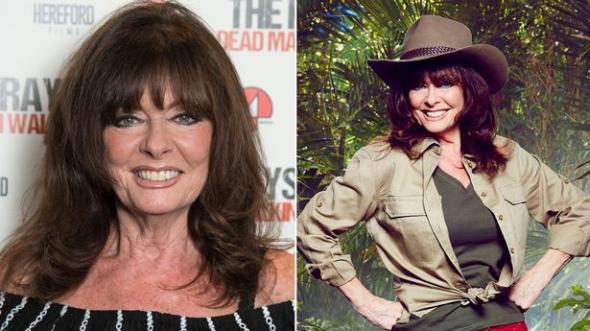 0main-im-a-celebs-vicki-michelle-says-this-years-stars-are-going-to-be-more-miserable-than-ever.jpg