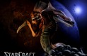 StarCraft Háttérképek 322b877b7512b062dc2e  