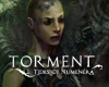 2016-ra csúszik a Torment: Tides of Numenera bétatesztje tn