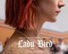 [Filmkritika] Lady Bird tn