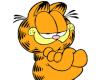 Garfield animációs film készül tn