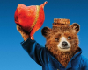 Készül a Paddington 3 tn