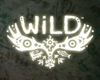 Wild – Úgy tűnik, elkaszálták a játékot tn