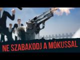 Misi Mókus beájulna - Squirrel with a Gun ► Ezzel Játszunk Újratöltve tn